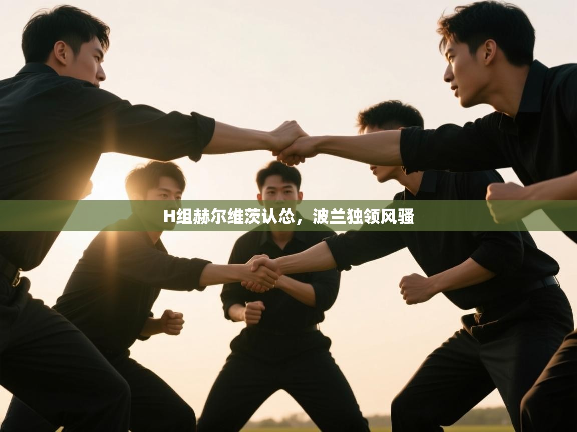 H组赫尔维茨认怂,波兰独领风骚 第2张