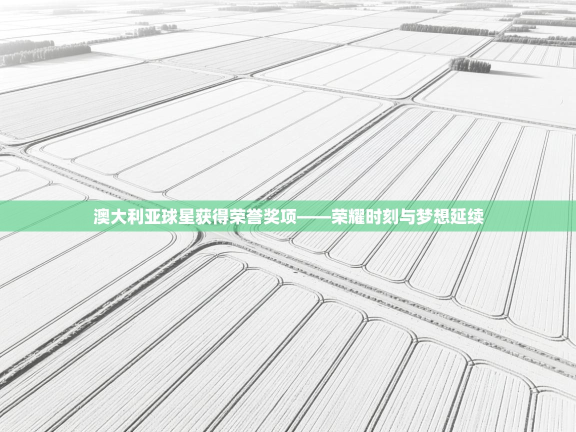 澳大利亚球星获得荣誉奖项——荣耀时刻与梦想延续  第2张