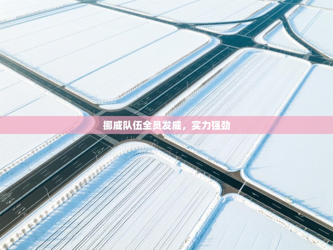 挪威队伍全员发威，实力强劲